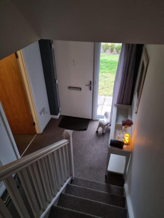 Modern 3 Bedroom Semi Detached Home Limavady Kültér fotó